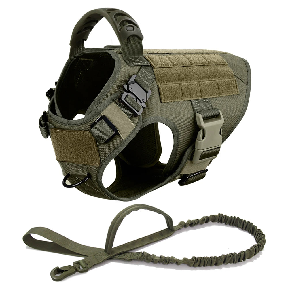 All Sizes, Dog Harness, Leash, Training Walking Vest