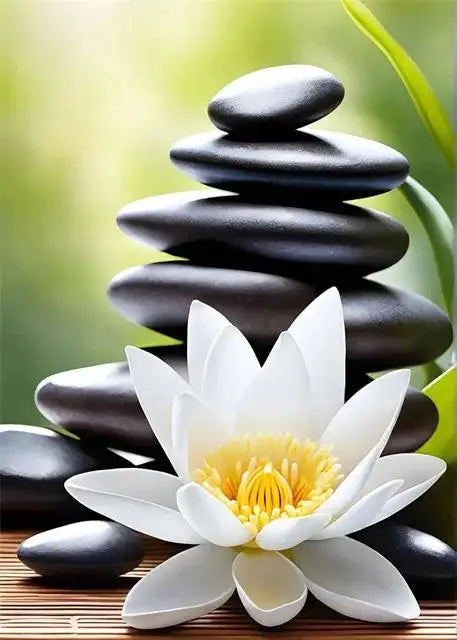 Spa Zen Cherry Blossom, Lily Pink Lotus Canvas, Print Posters, Art for Fitness/Yoga Studio