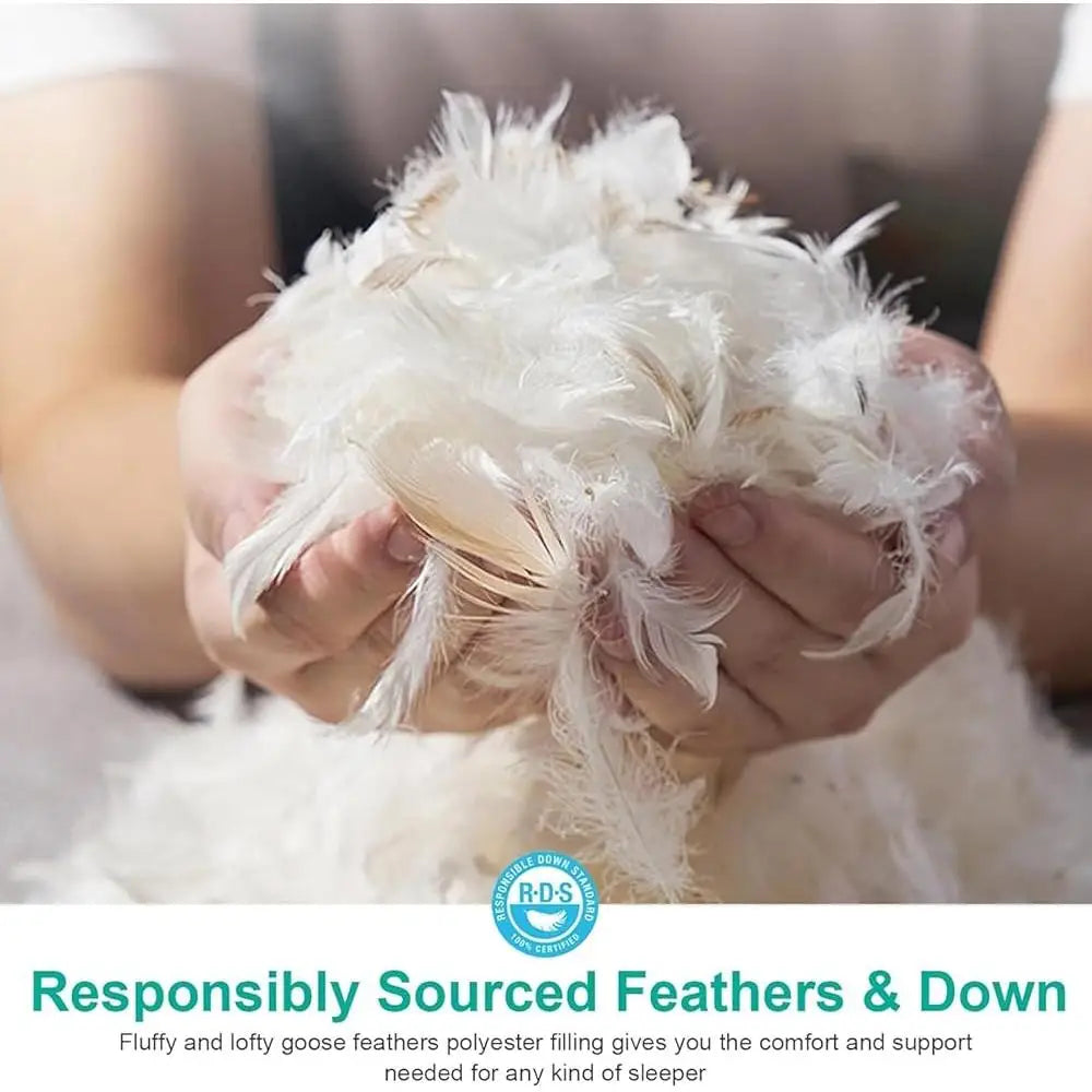 Medium Firm Down Feather Pillow Set, 2 King Size, Luxury Organic Cotton Cover, Support Side/Back