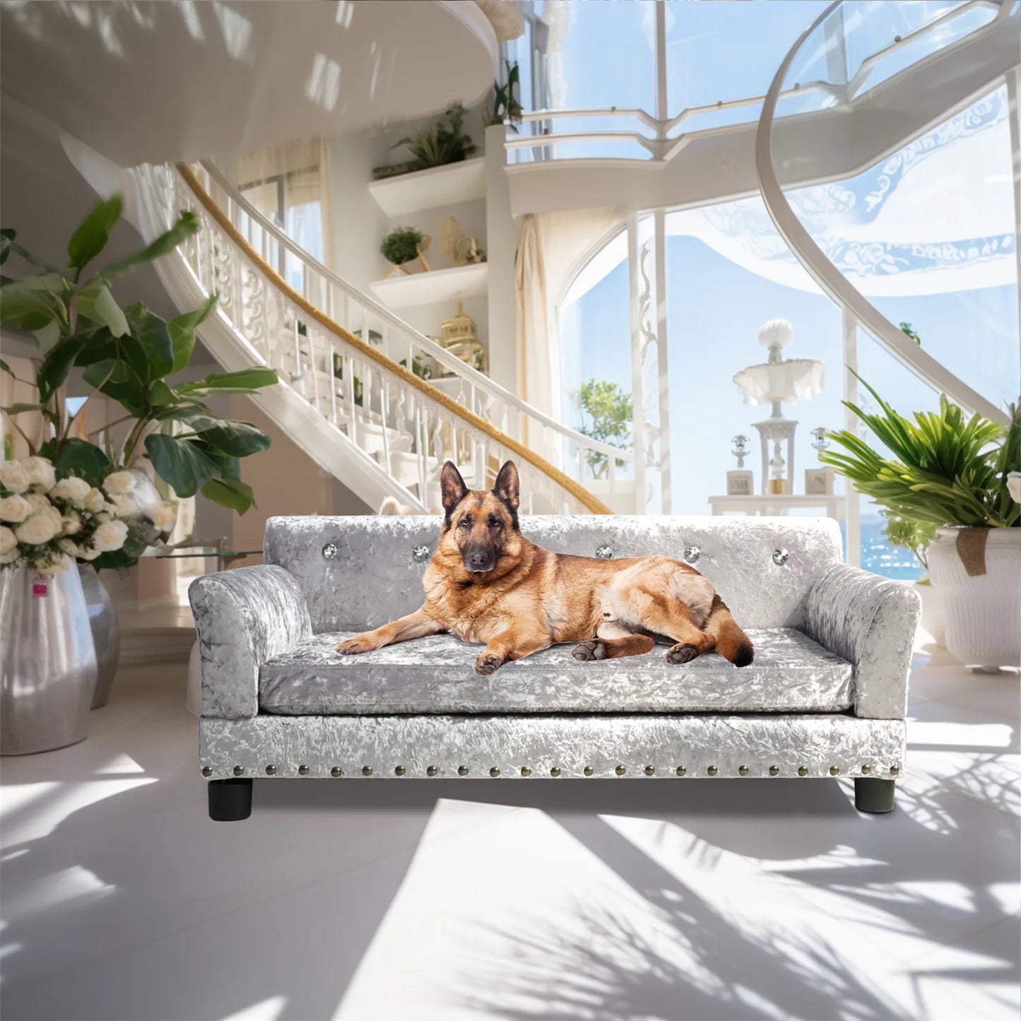 Large Dog, Elevated Velvet Couch Bed, Memory Foam