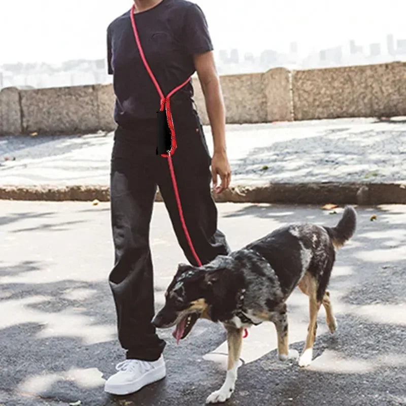 Hands Free Dog Leash, 3M Long, Waterproof, Reflective, Double-headed