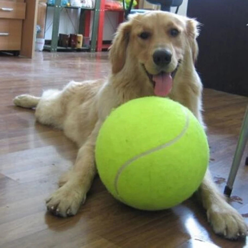 9.5 Inch, Tennis Ball, Dog Interactive Toy, Training