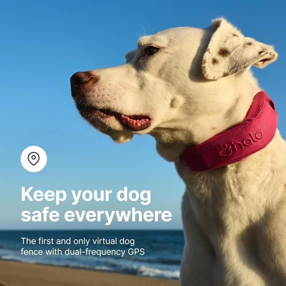 GPS Wireless Dog Fence, Training Collar, Real-Time Tracking, Waterproof