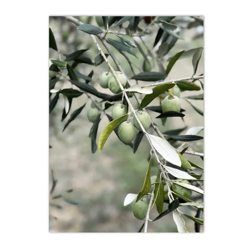 Spanish Italy Puglia Architecture Posters, Canvas Painting, Green Leaves, Indoor Plants, Wall Art Print Pictures