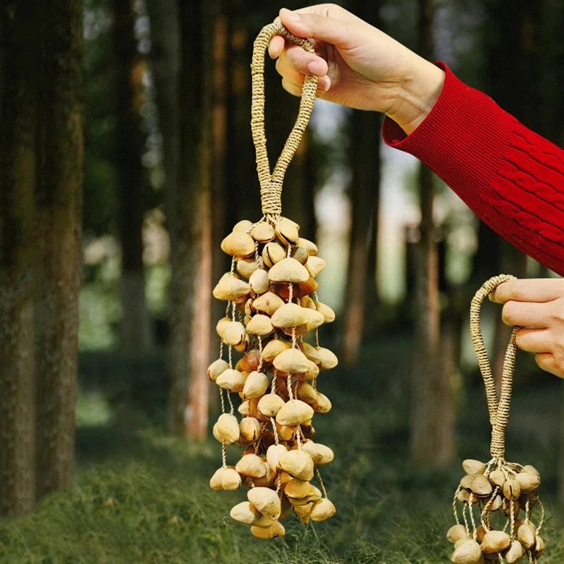 Straw Rope Hand Bell, Meditation/Yoga, Healing, Natural Fruit Shells, Wind Chimes