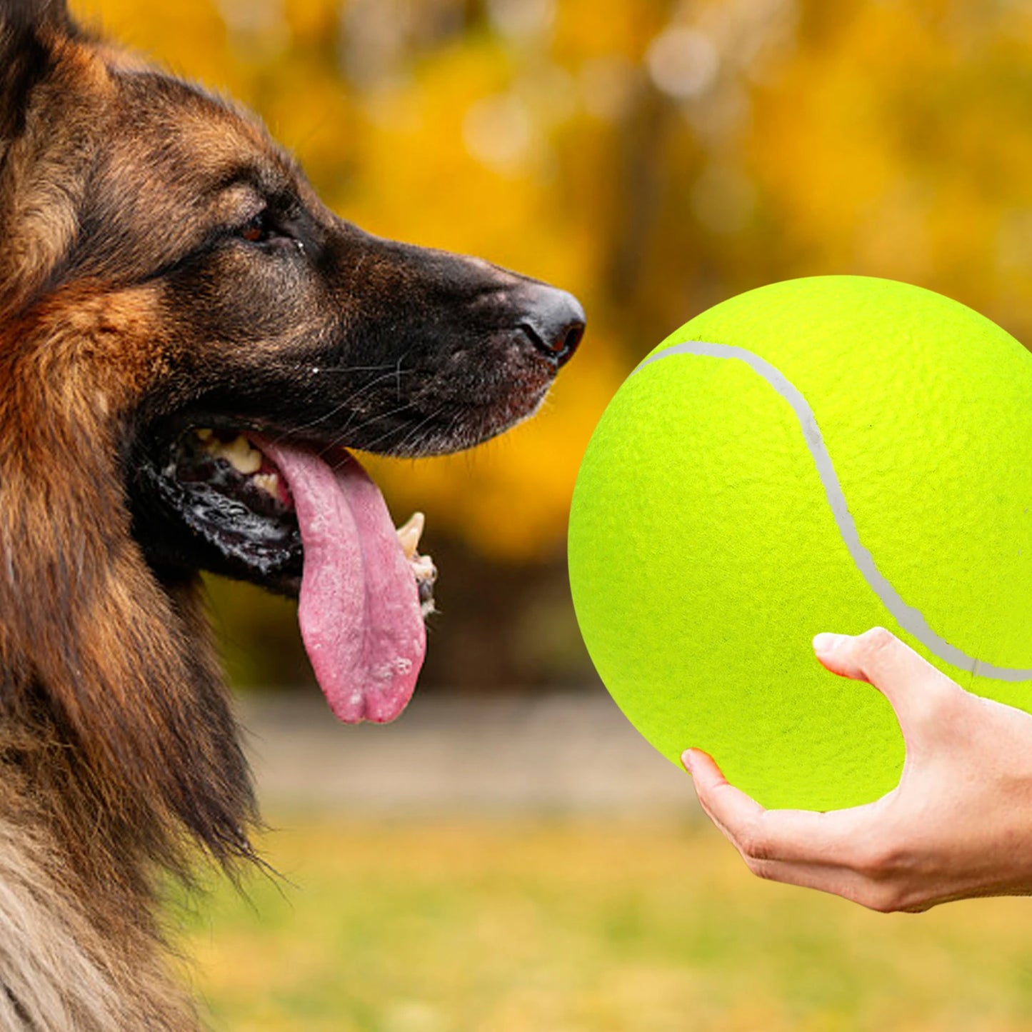 9.5‘’ Oversize, Tennis Balls, Inflatable, Pump, Dog Toy