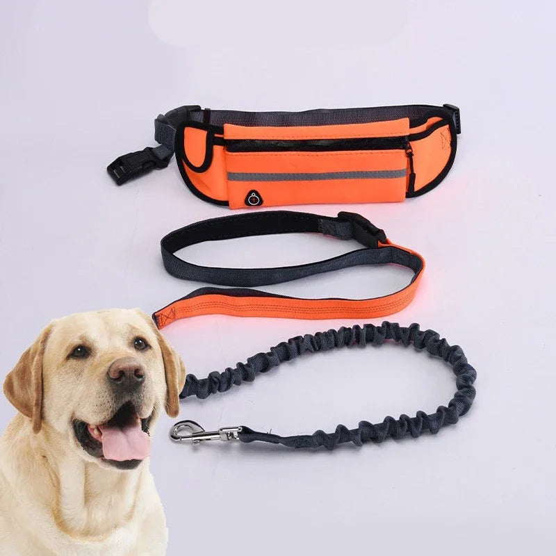 Hands Free Dog Leash for Running/Walking, Reflective Leash with Waist Bag, Retractable Elastic Belt