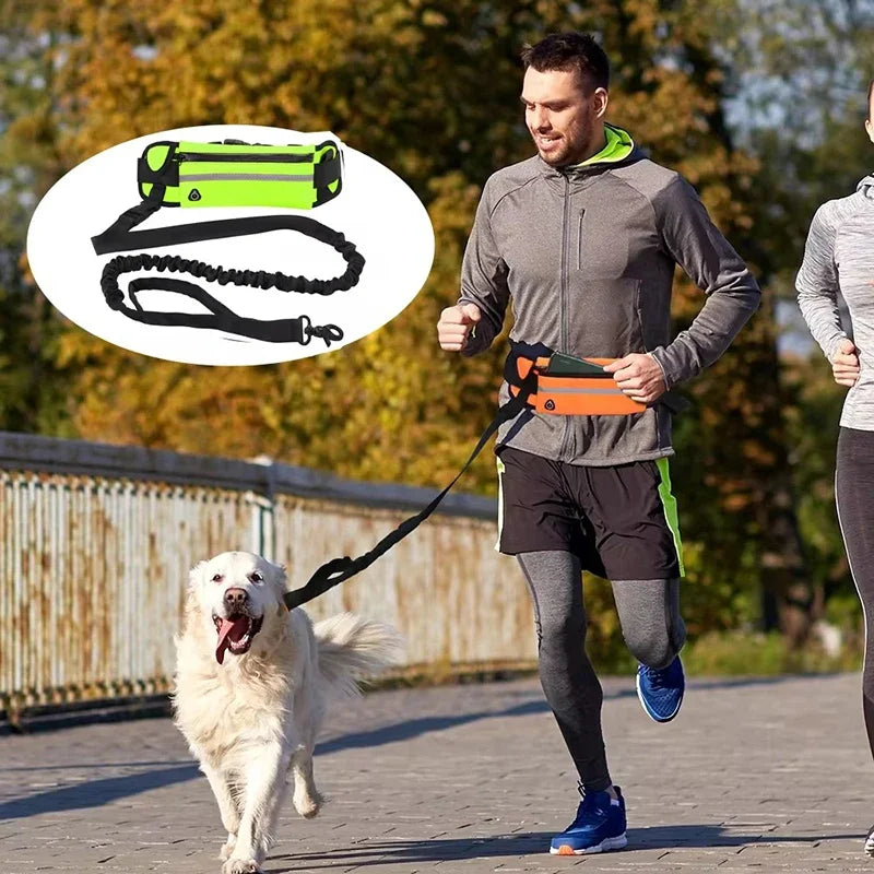 Hands Free Dog Leash for Running/Walking, Reflective Leash with Waist Bag, Retractable Elastic Belt