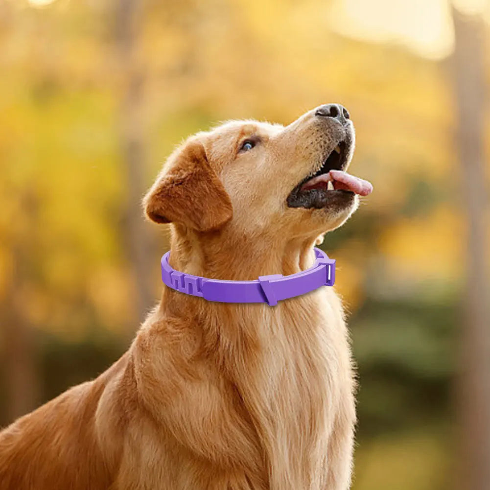 Pet Calming Collar, Stress and Anxiety Relief, Pheromone, Adjustable