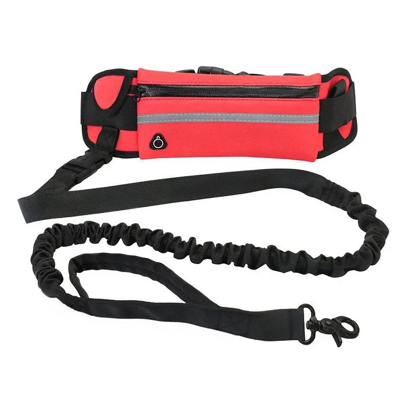Hands Free Dog Leash for Running/Walking, Reflective Leash with Waist Bag, Retractable Elastic Belt