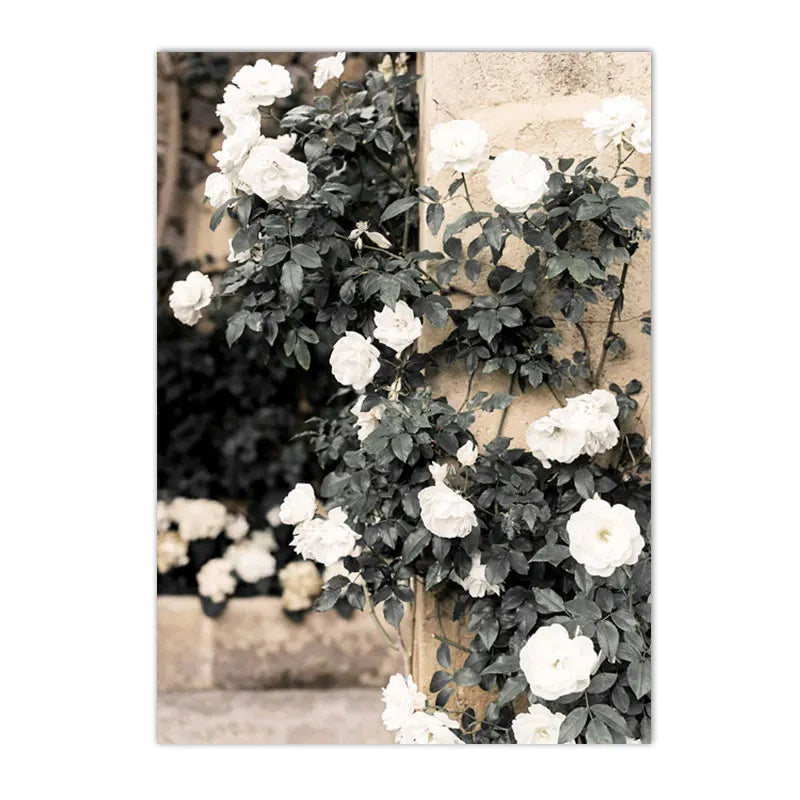 Spanish Italy Puglia Architecture Posters, Canvas Painting, Green Leaves, Indoor Plants, Wall Art Print Pictures