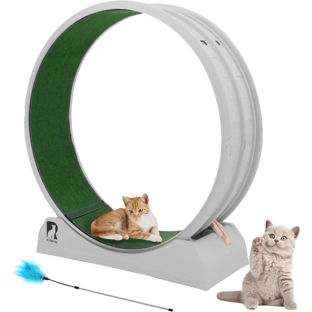 Cat Exercise Wheel, Treadmill, Carpeted Runway