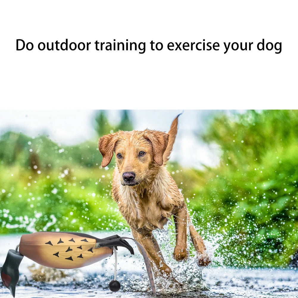 Pheasant Dummy, Interactive Training Toy, Hunting Retriever Dog