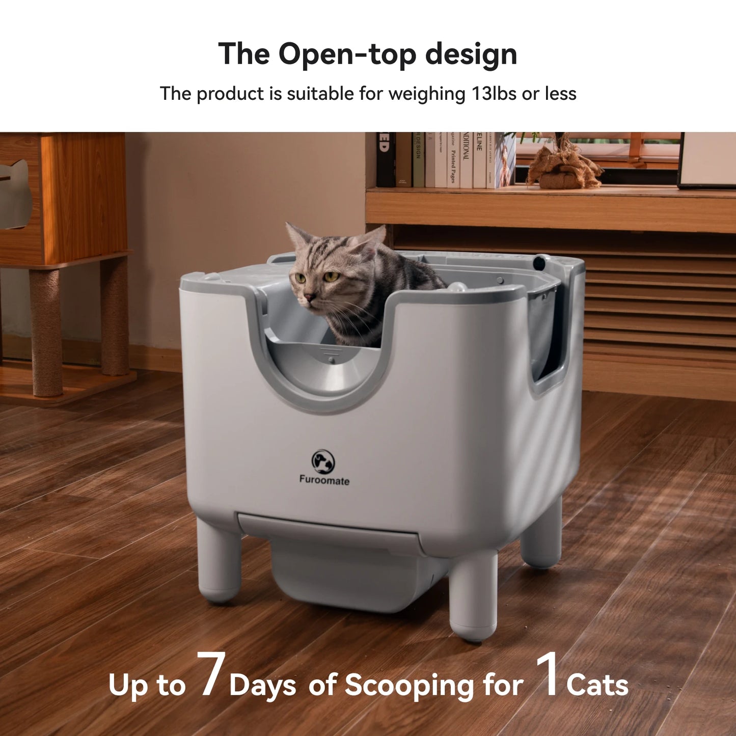 Self-Cleaning Litter Box, Open-Top, Automatic, Odor Control, Safety Features, Easy Maintenance
