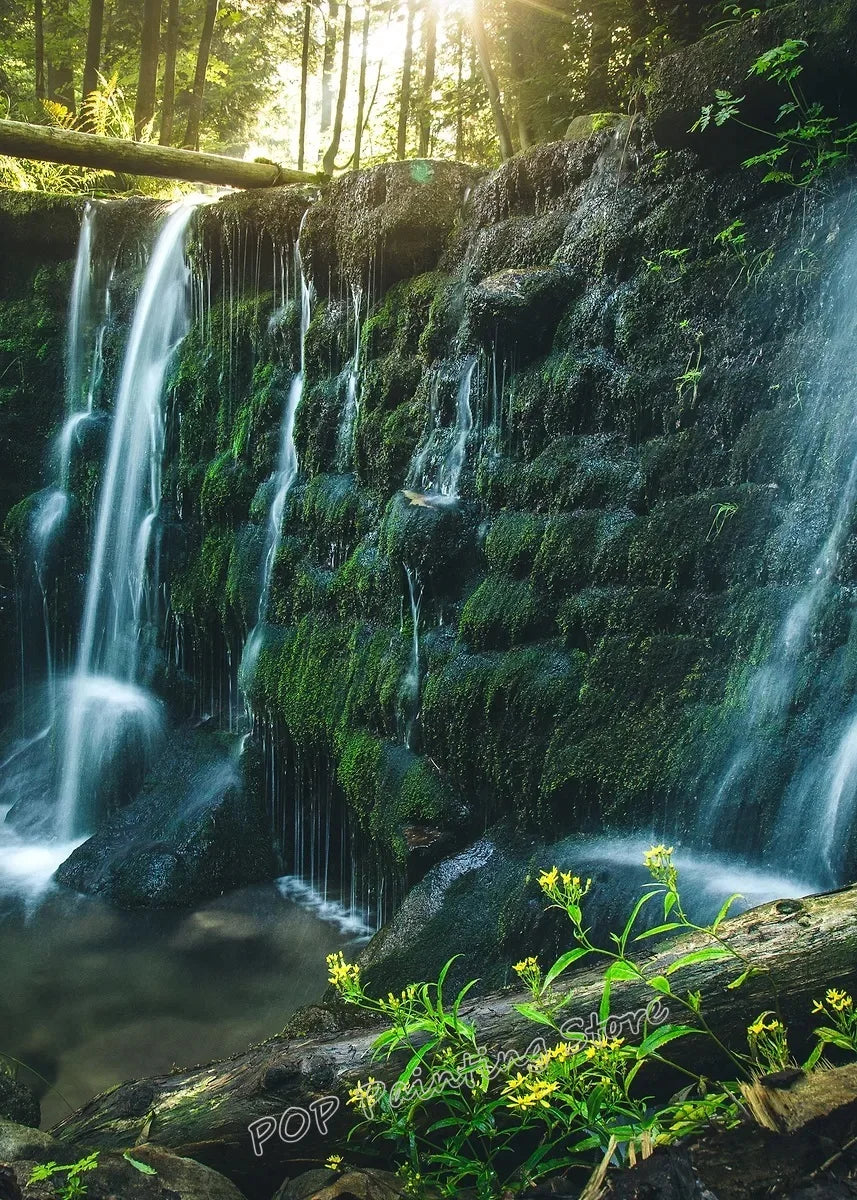 Waterfall Landscape Canvas Print, Forest Rock Nature Serenity Wall Art, Sunlight Peaceful Tranquil Scenery