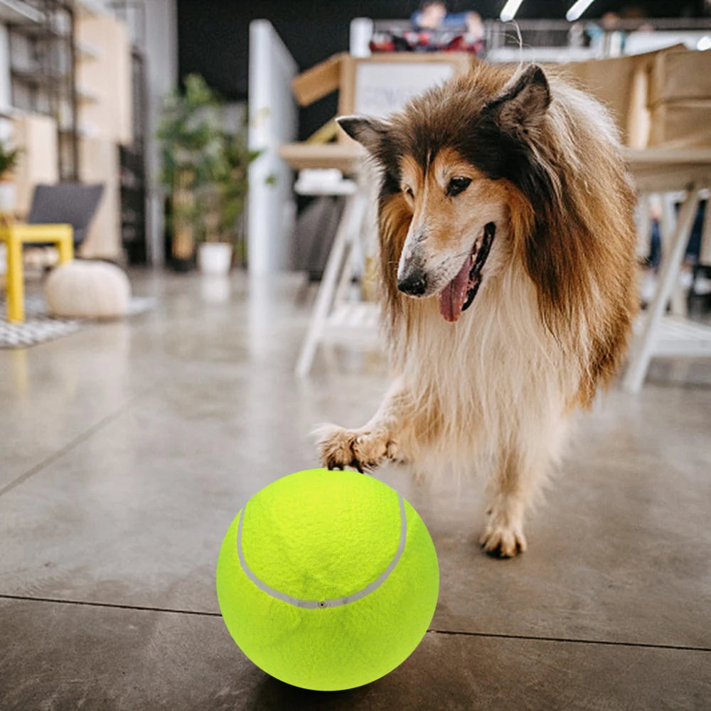 9.5‘’ Oversize, Tennis Balls, Inflatable, Pump, Dog Toy