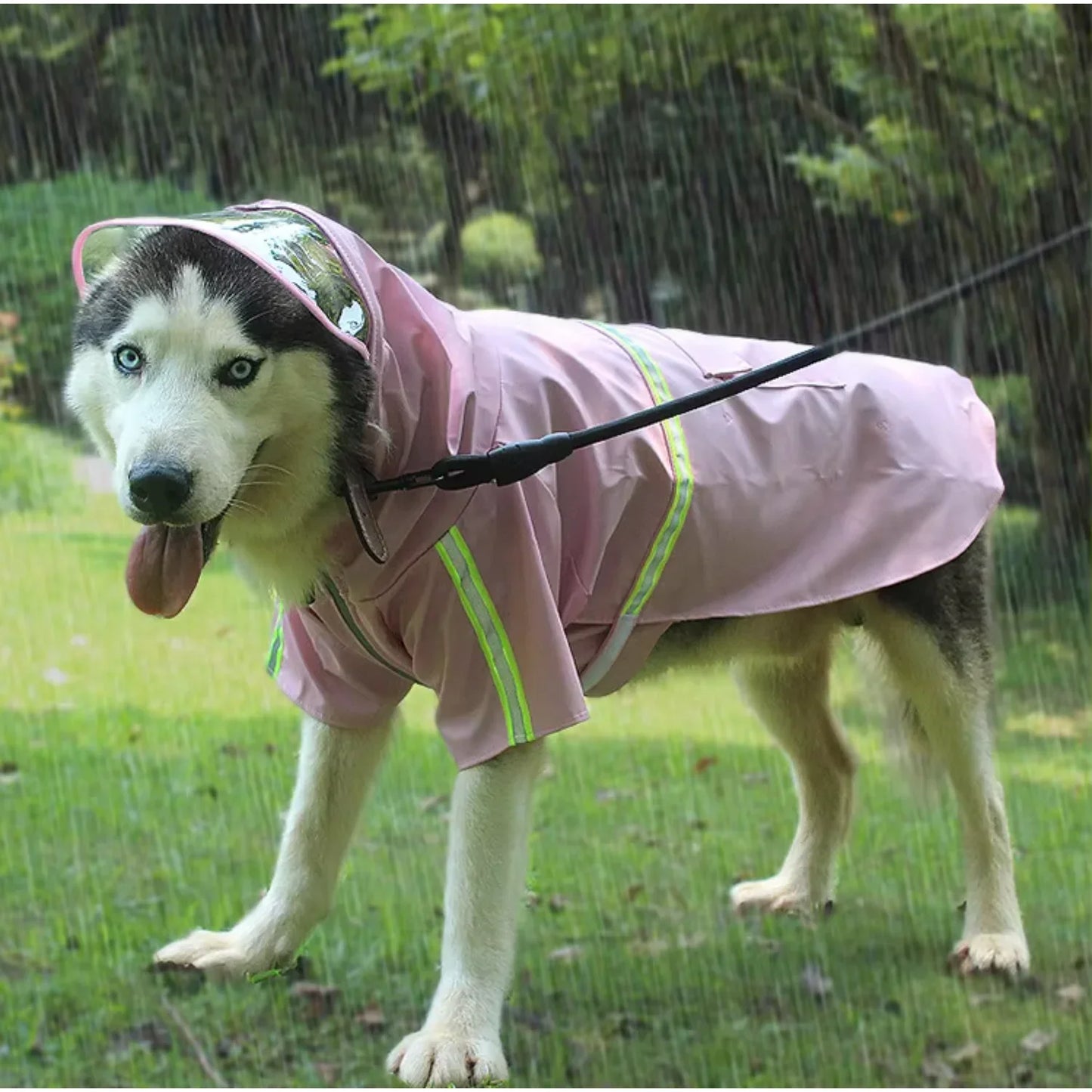 Large Dog Apparel, Fashion Giant, Waterproof Hoodies