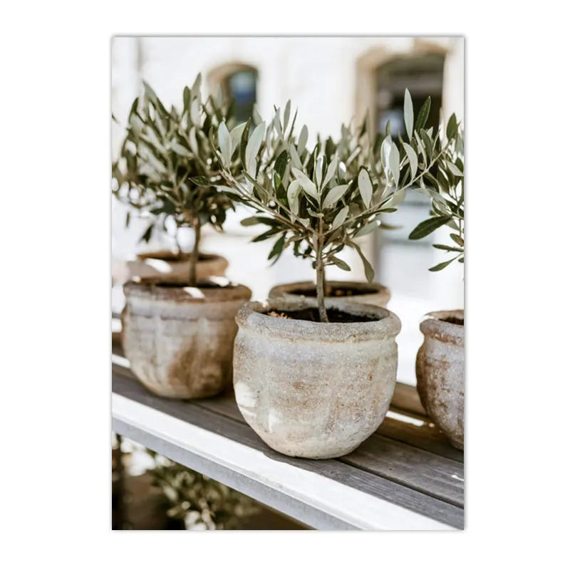 Spanish Italy Puglia Architecture Posters, Canvas Painting, Green Leaves, Indoor Plants, Wall Art Print Pictures