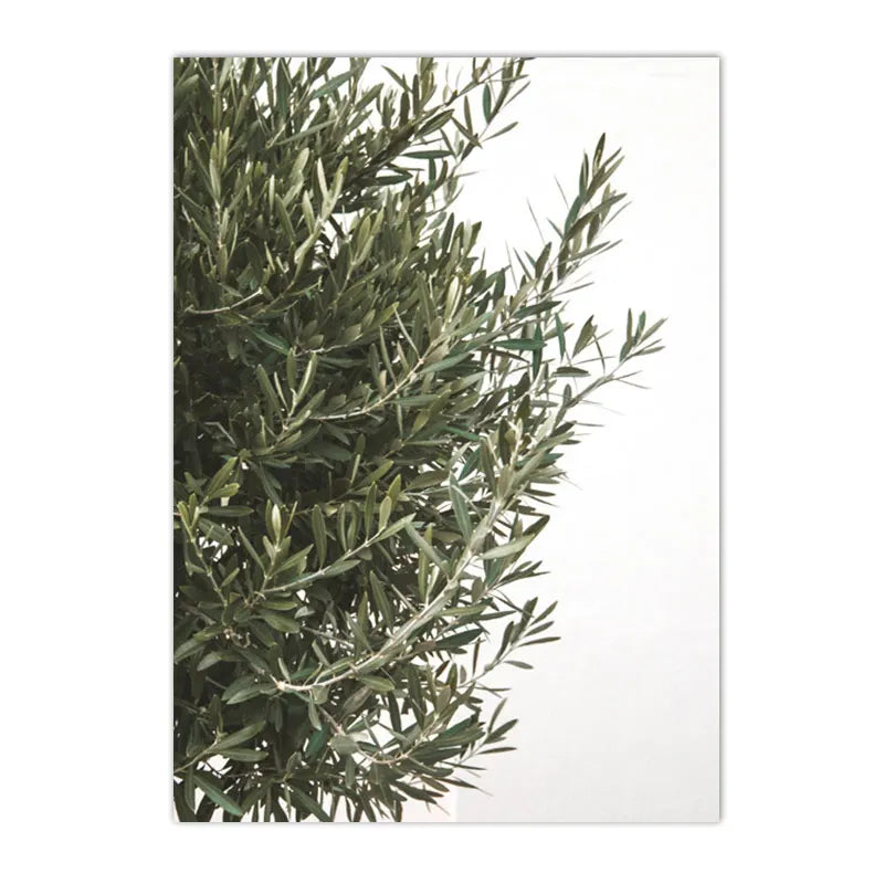 Spanish Italy Puglia Architecture Posters, Canvas Painting, Green Leaves, Indoor Plants, Wall Art Print Pictures