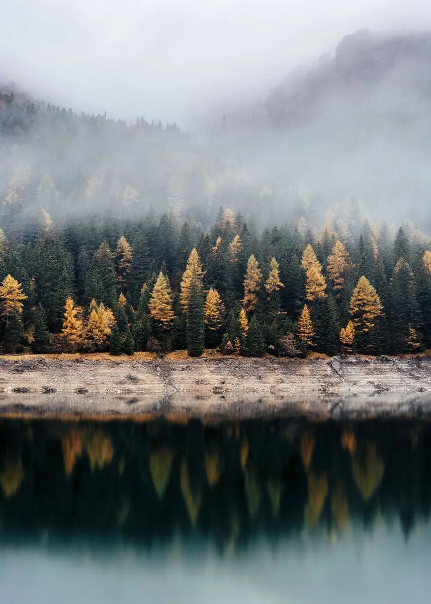 Beautiful Dark Green Forest, Foggy Mountain Landscape, Nature Scenery Poster, Canvas Painting Wall Art Pictures
