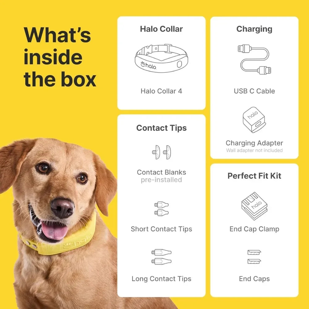 GPS Wireless Dog Fence, Training Collar, Real-Time Tracking, Waterproof