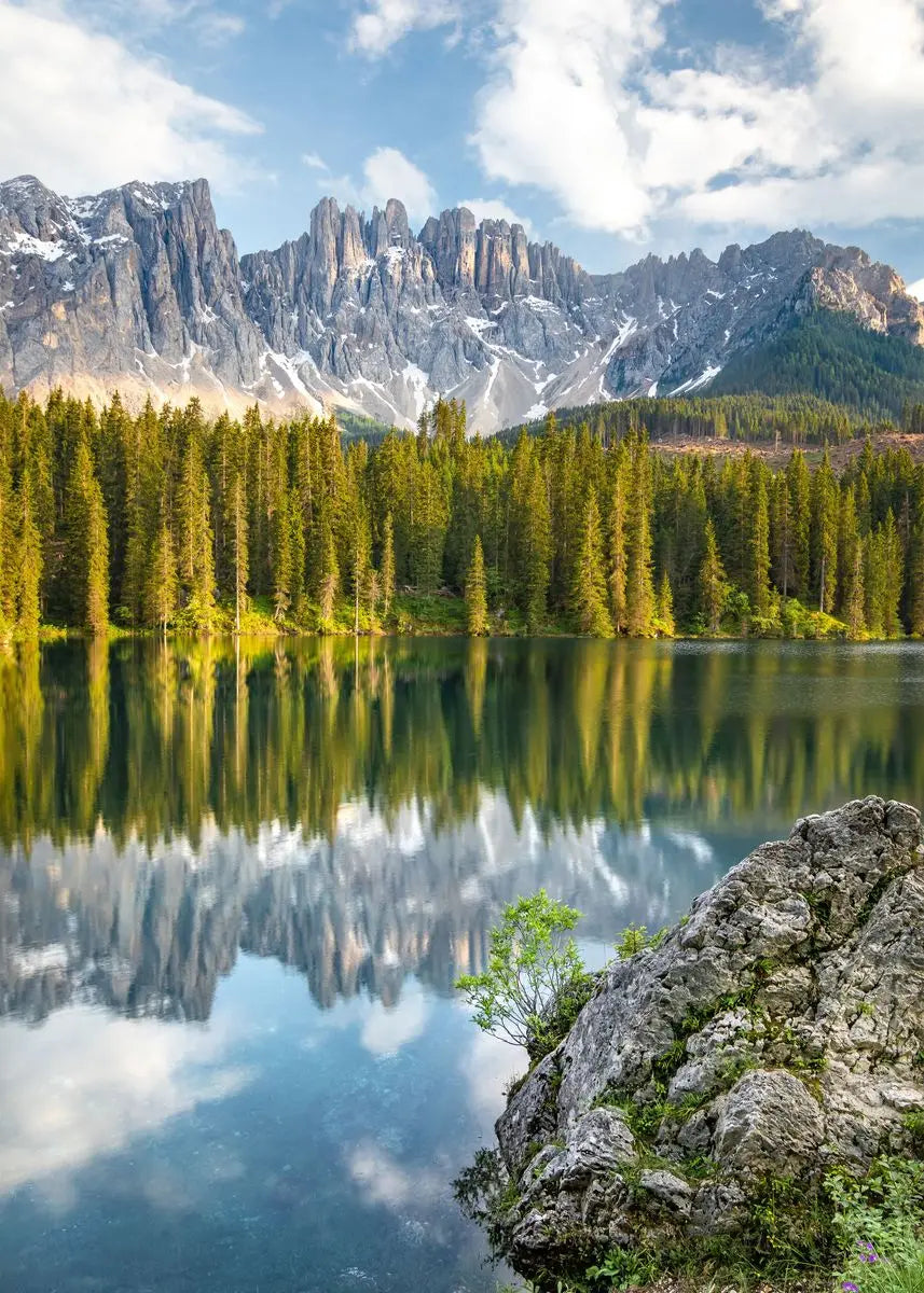 Beautiful Dark Green Forest, Foggy Mountain Landscape, Nature Scenery Poster, Canvas Painting Wall Art Pictures