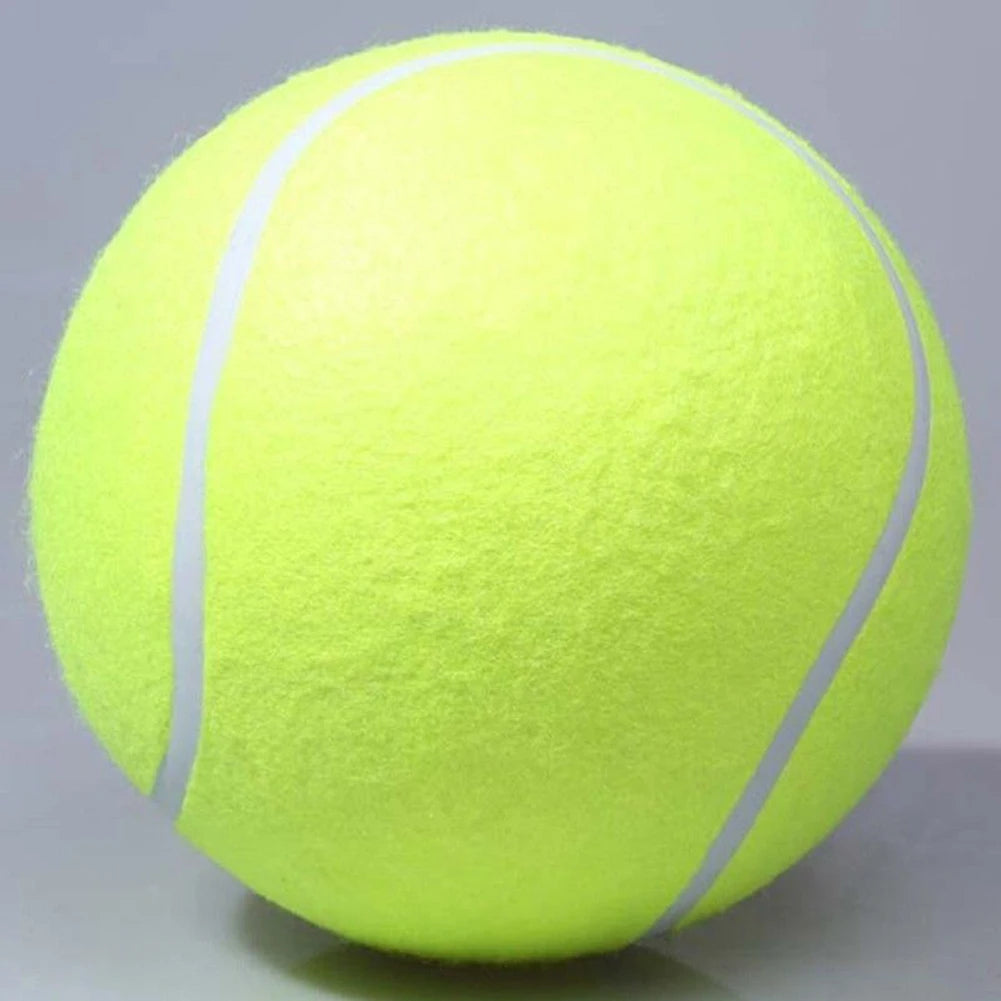9.5 Inch, Tennis Ball, Dog Interactive Toy, Training