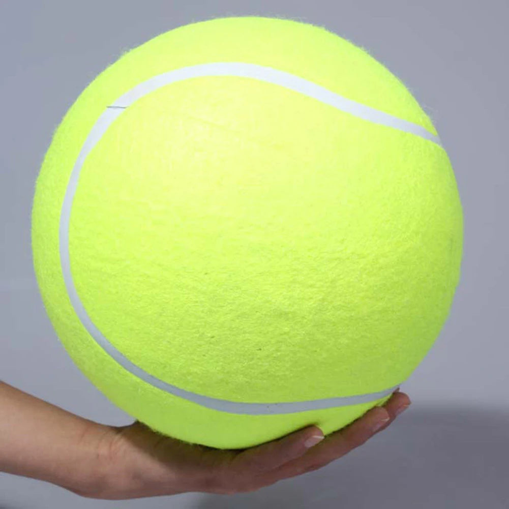 9.5 Inch, Tennis Ball, Dog Interactive Toy, Training