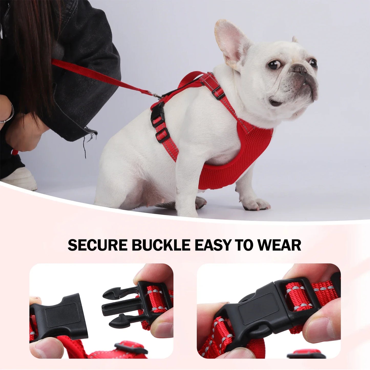 Small/Medium Dog Leash Harness Set, Reflective Vest, Rope Walking Gear