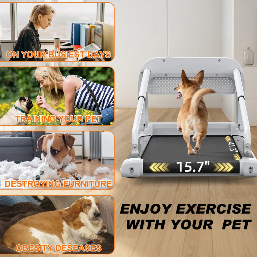 Quiet Smart Pet Treadmill, Adjustable Speed, Perfect For Small/Medium Dogs