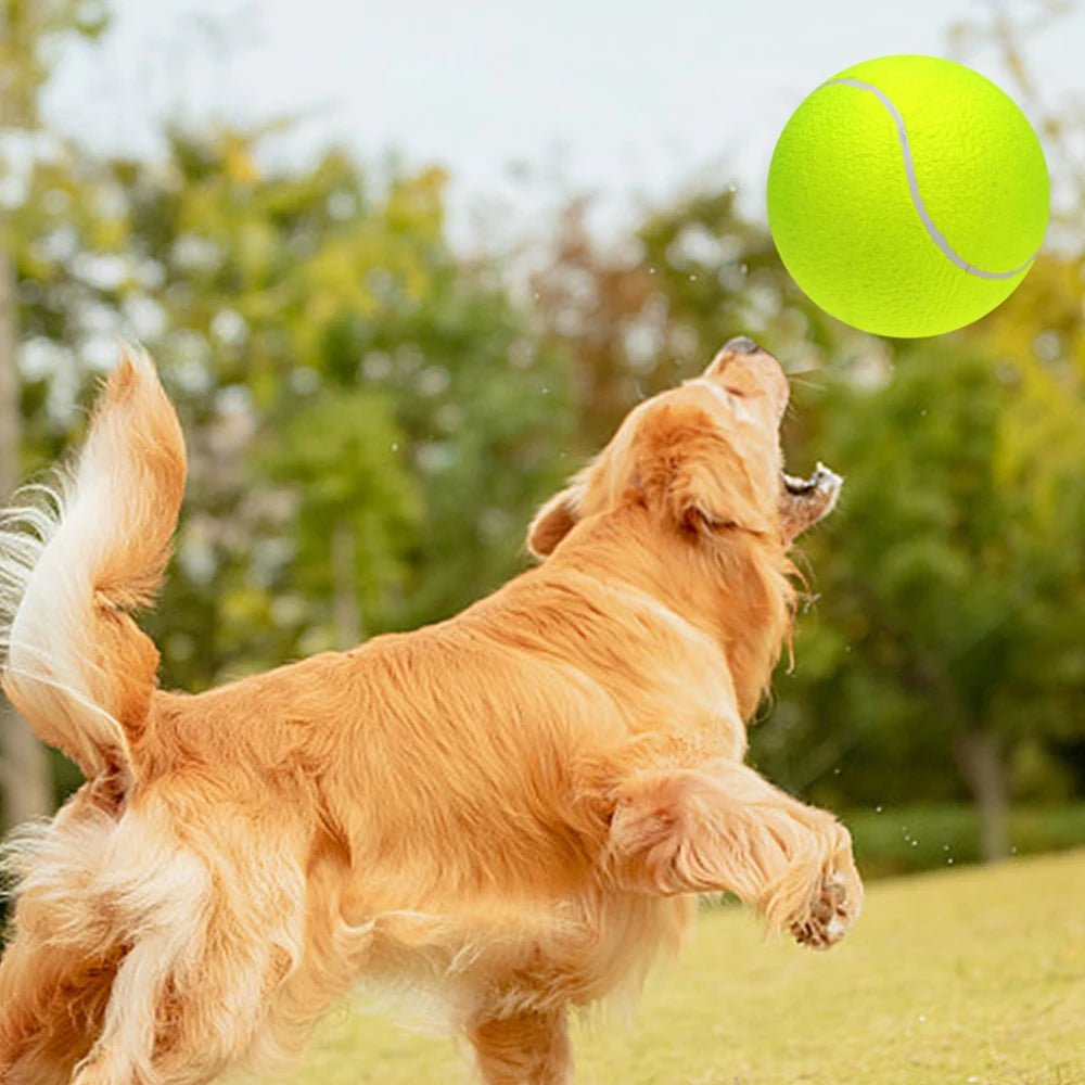 9.5‘’ Oversize, Tennis Balls, Inflatable, Pump, Dog Toy