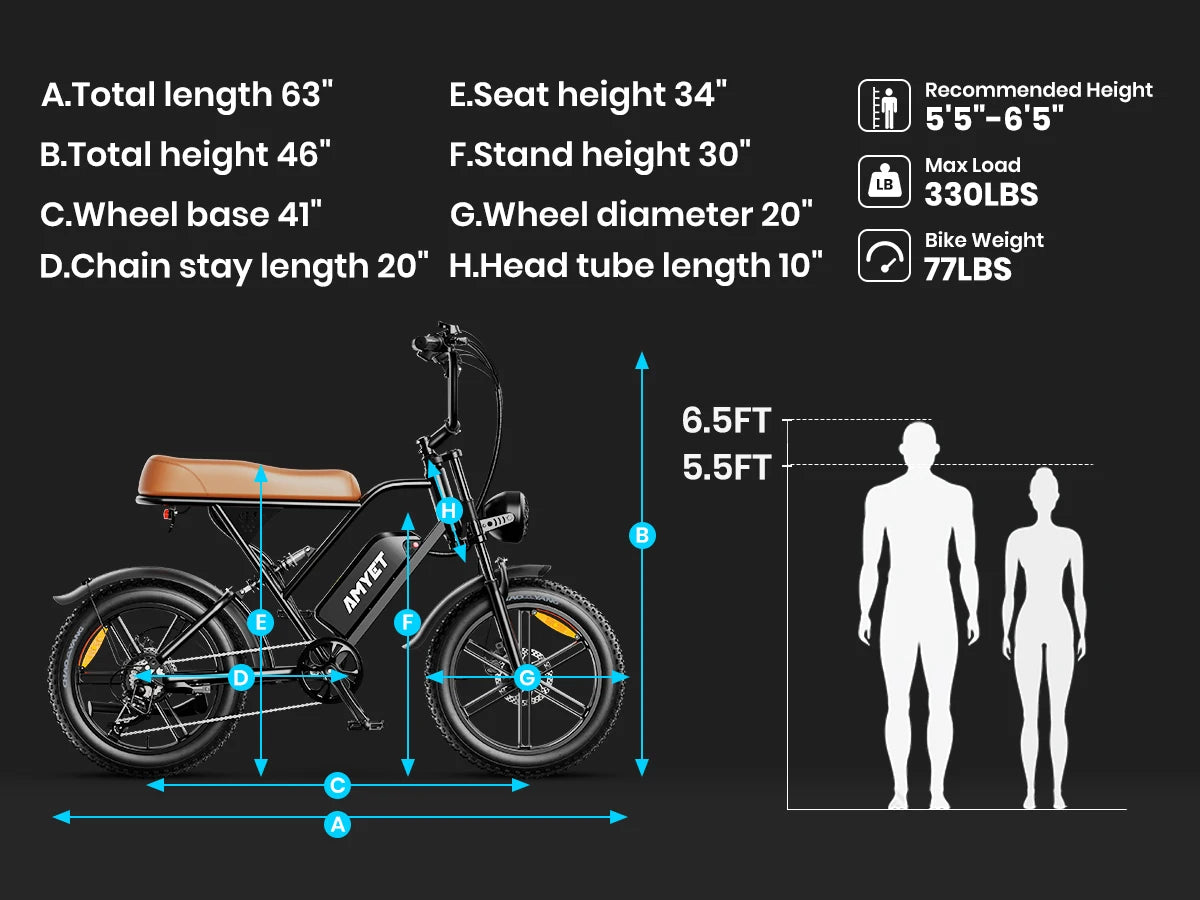 Electric Bike, 1000W Motor, 48V 20AH, 20“ Tire, Mountain Moped
