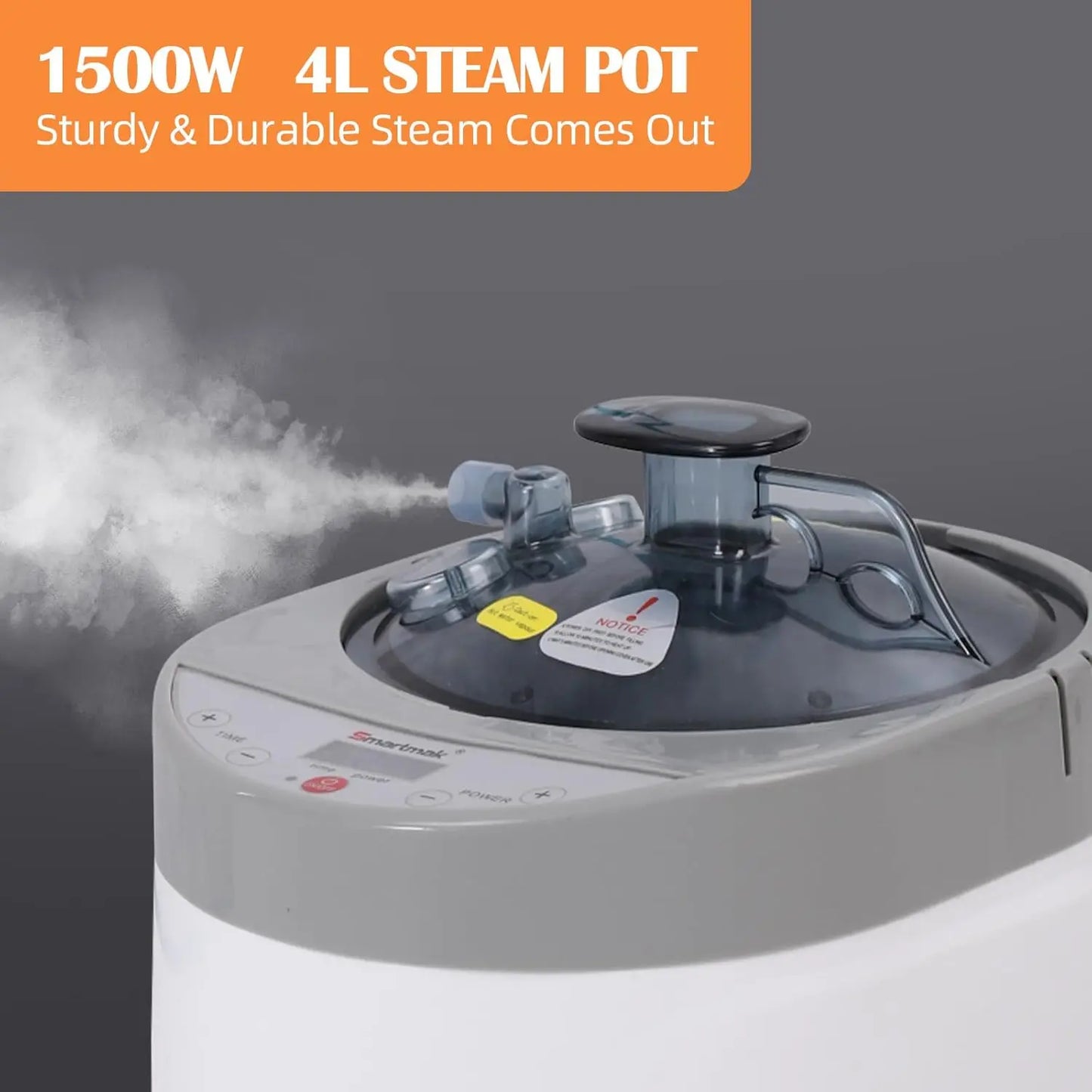 Sauna Steamer, Portable, Steam Pot Generator, Remote Control Spa Machine, Herbal Box