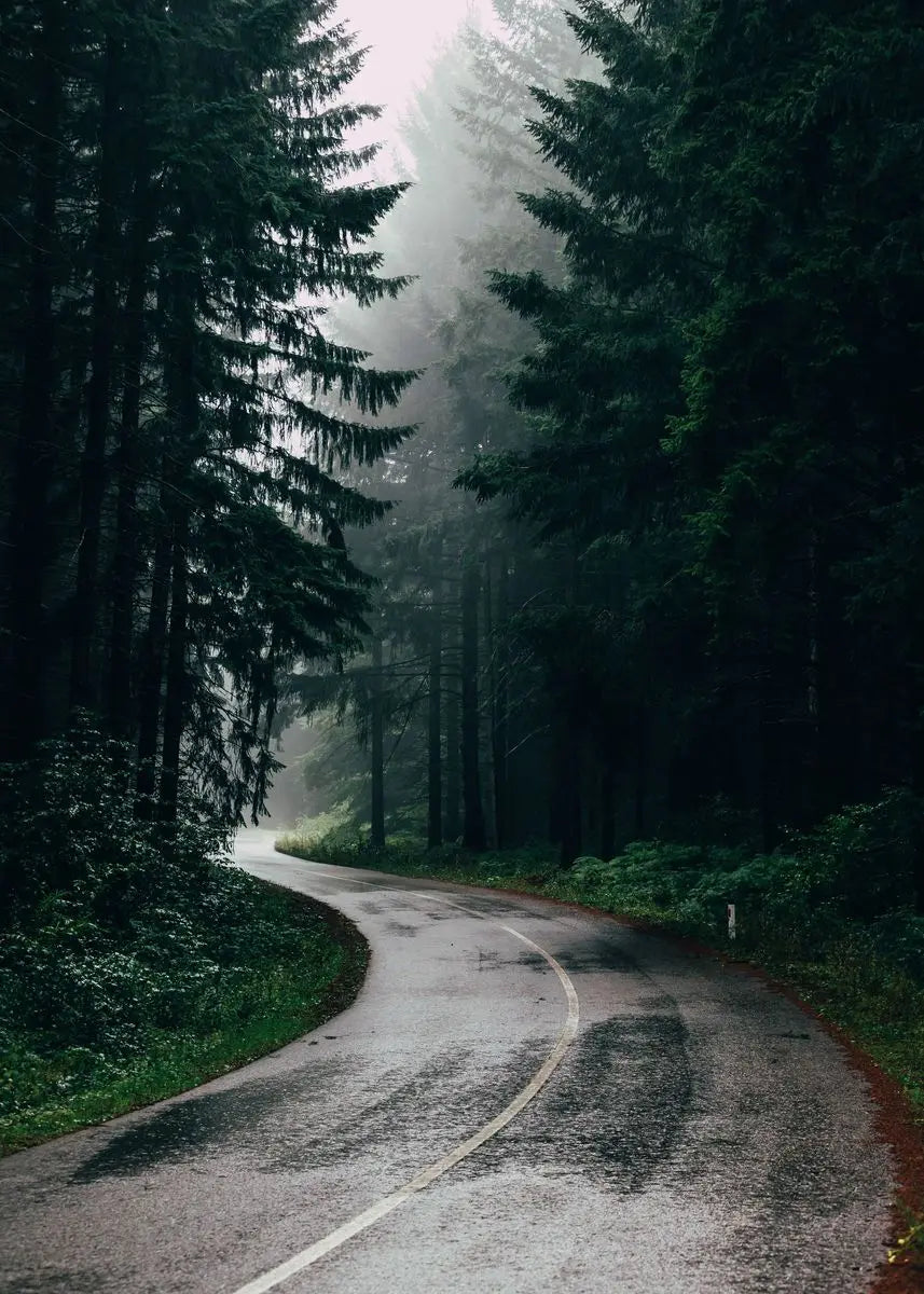Beautiful Dark Green Forest, Foggy Mountain Landscape, Nature Scenery Poster, Canvas Painting Wall Art Pictures