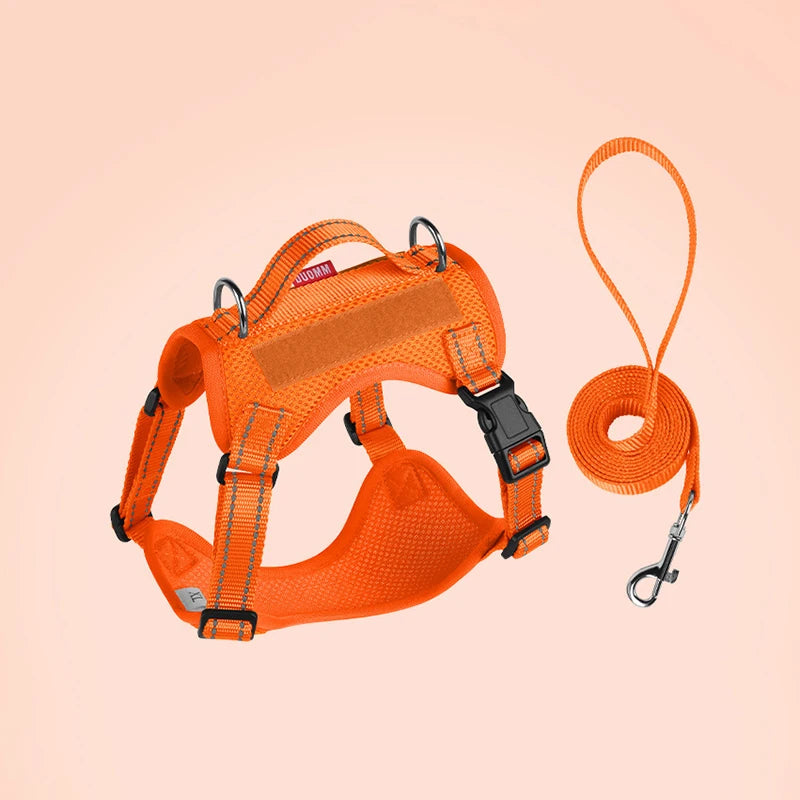 Small/Medium Dog Leash Harness Set, Reflective Vest, Rope Walking Gear