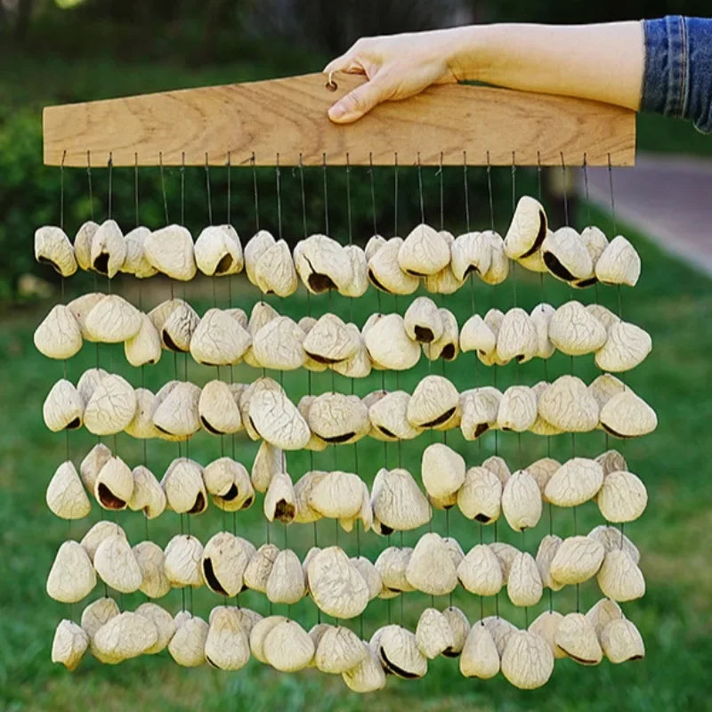 Hand Bells, Natural Fruit Healing Sounds, Meditation, Yoga, Sound Therapy Percussion Instruments