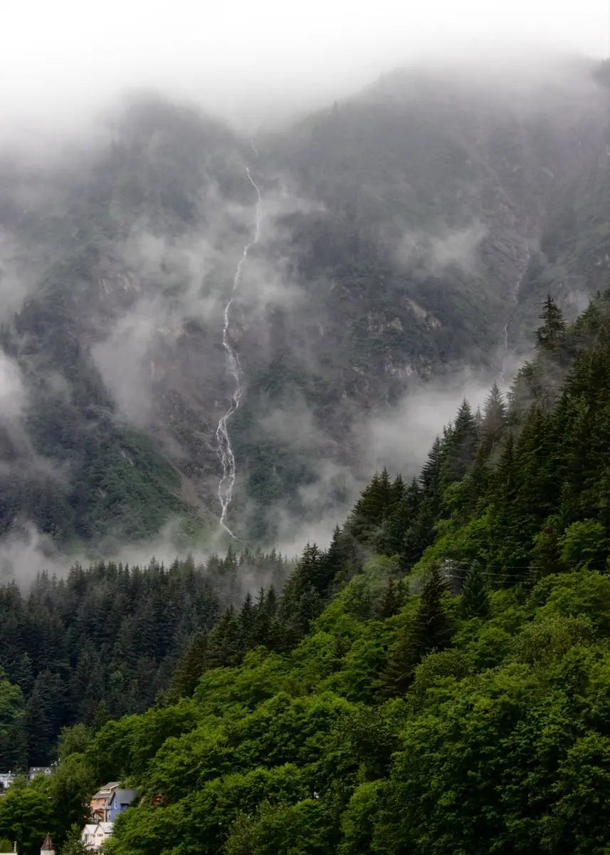 Beautiful Dark Green Forest, Foggy Mountain Landscape, Nature Scenery Poster, Canvas Painting Wall Art Pictures