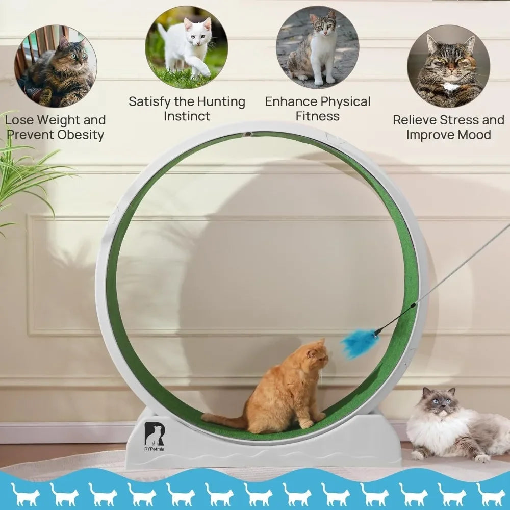 Cat Exercise Wheel, Treadmill, Carpeted Runway