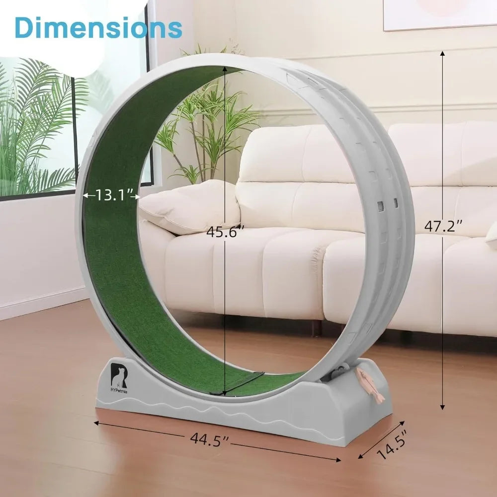 Cat Exercise Wheel, Treadmill, Carpeted Runway