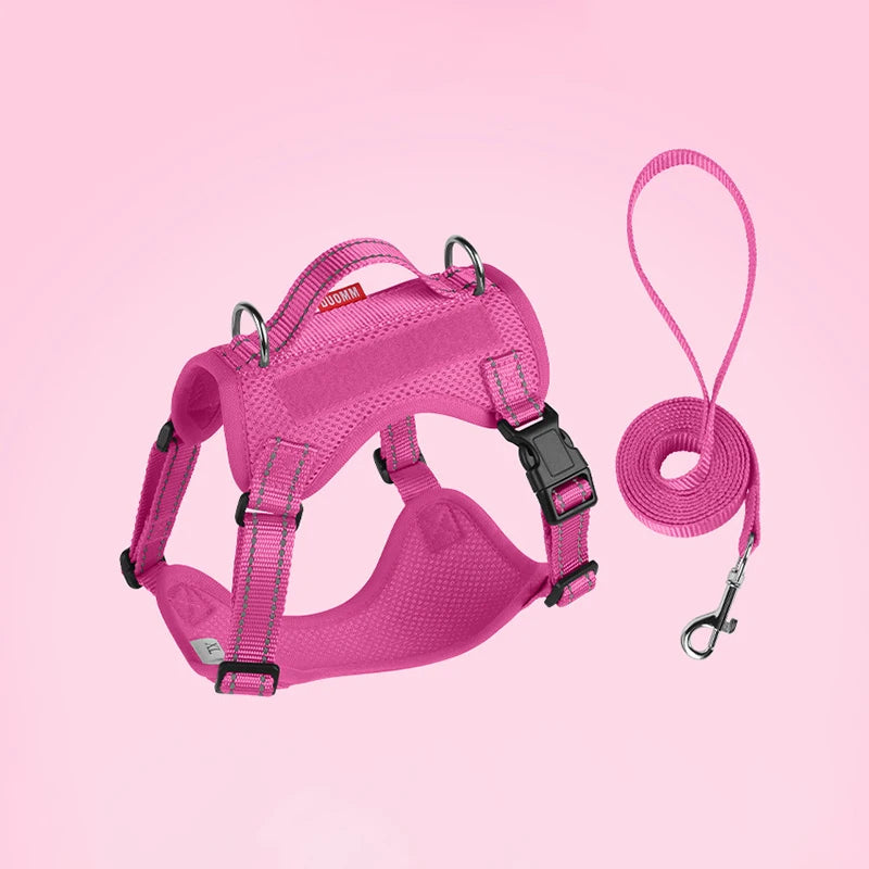 Small/Medium Dog Leash Harness Set, Reflective Vest, Rope Walking Gear