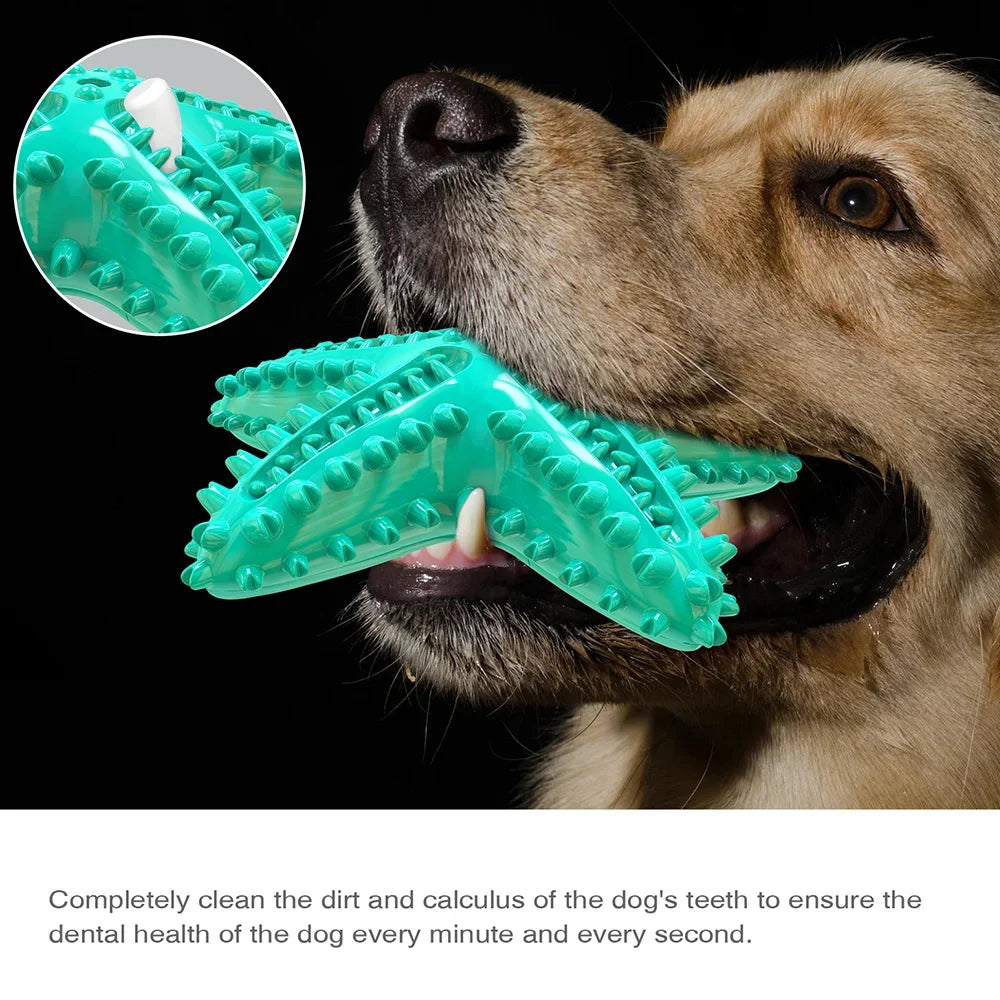 Starfish Squeaky Chew Toys, Small-Large Dog, Indestructible Rubber, Teeth Cleaning