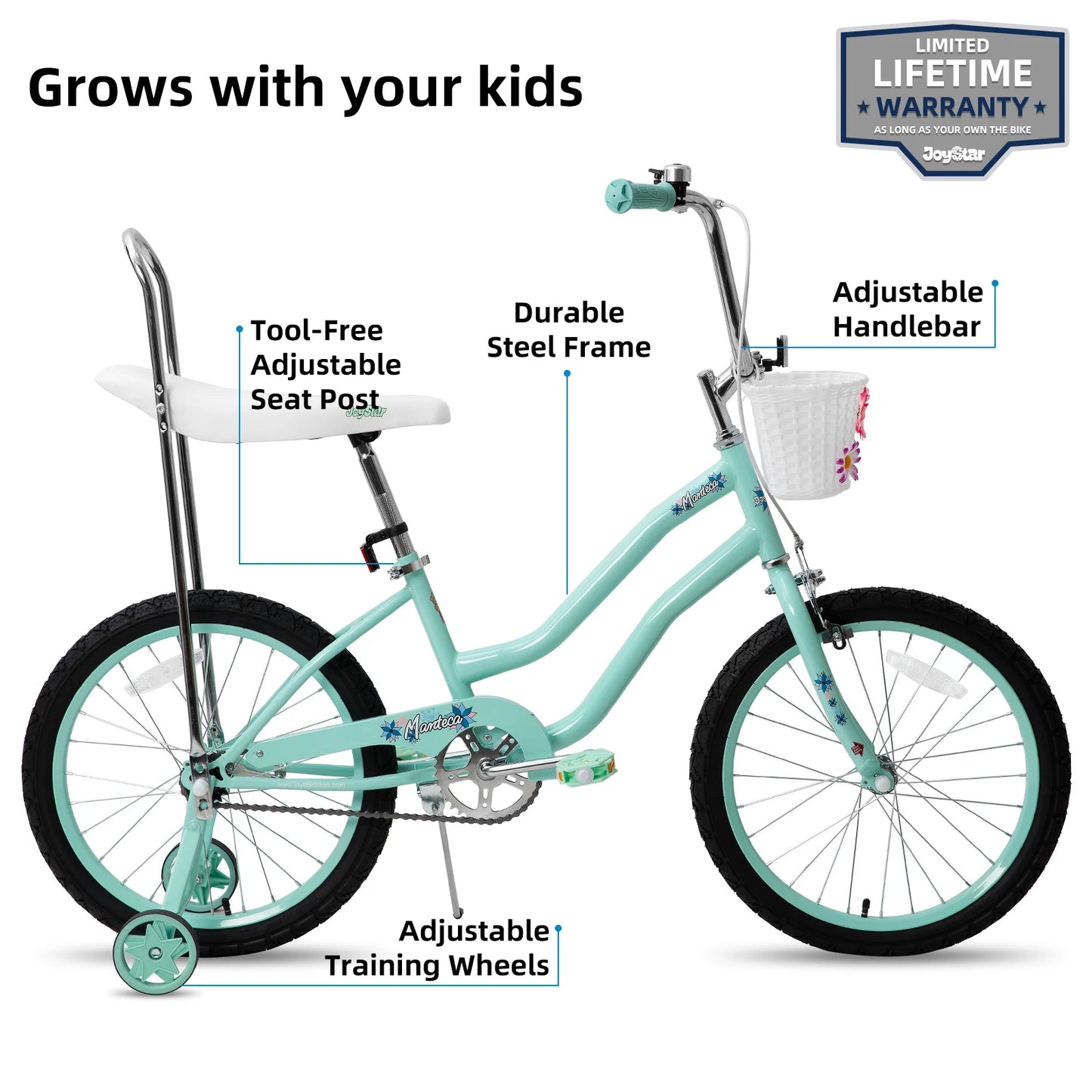 20 Inch Girls Bike, Training Wheels, Banana Seat, Handbrake, Coaster Brake
