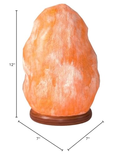 The Body Source Himalayan Salt Lamp 10-12 Inches (11-15lb) | Includes Dimmer Switch | Natural Salt Rock Lamp with Handcrafted Wooden Base & Night Light (Bulb Replacement)