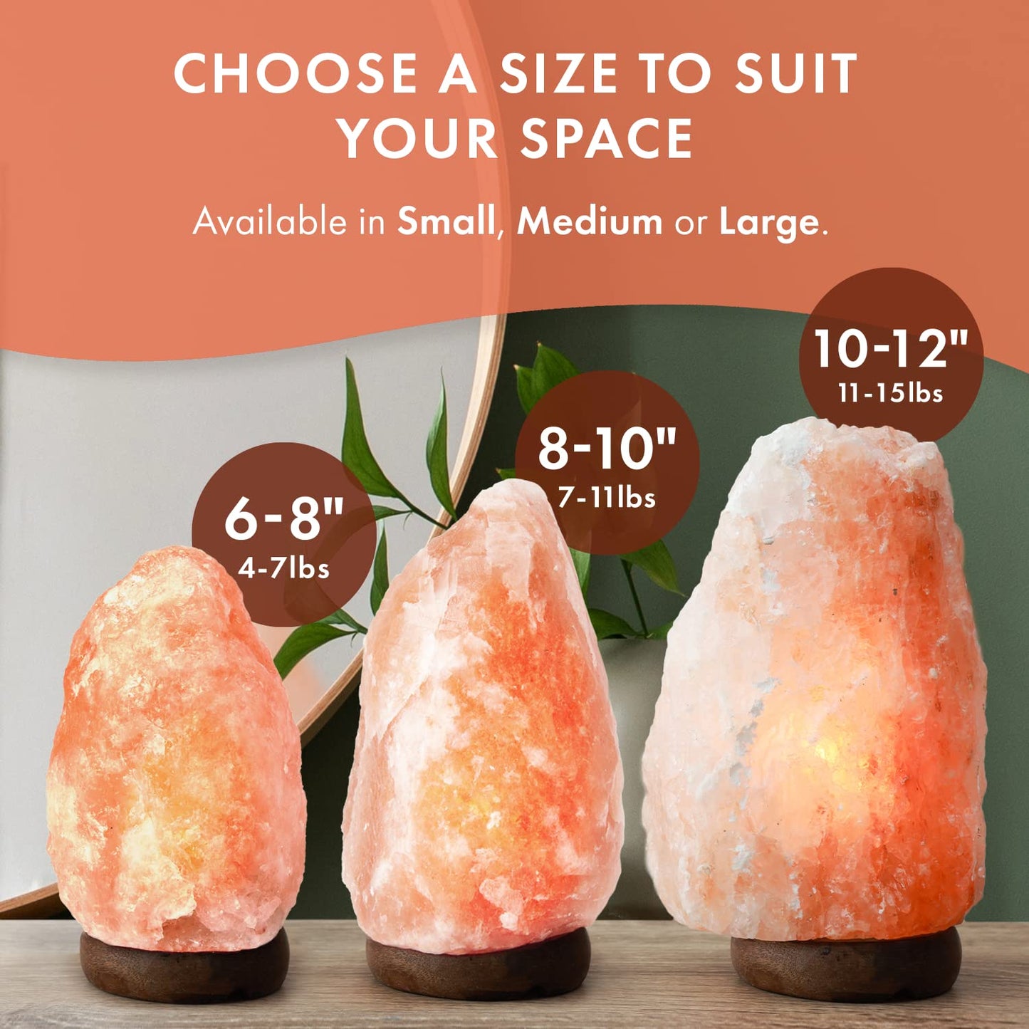 The Body Source Himalayan Salt Lamp 10-12 Inches (11-15lb) | Includes Dimmer Switch | Natural Salt Rock Lamp with Handcrafted Wooden Base & Night Light (Bulb Replacement)