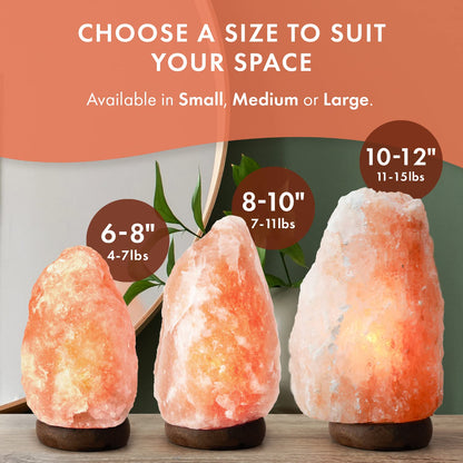 The Body Source Himalayan Salt Lamp 10-12 Inches (11-15lb) | Includes Dimmer Switch | Natural Salt Rock Lamp with Handcrafted Wooden Base & Night Light (Bulb Replacement)
