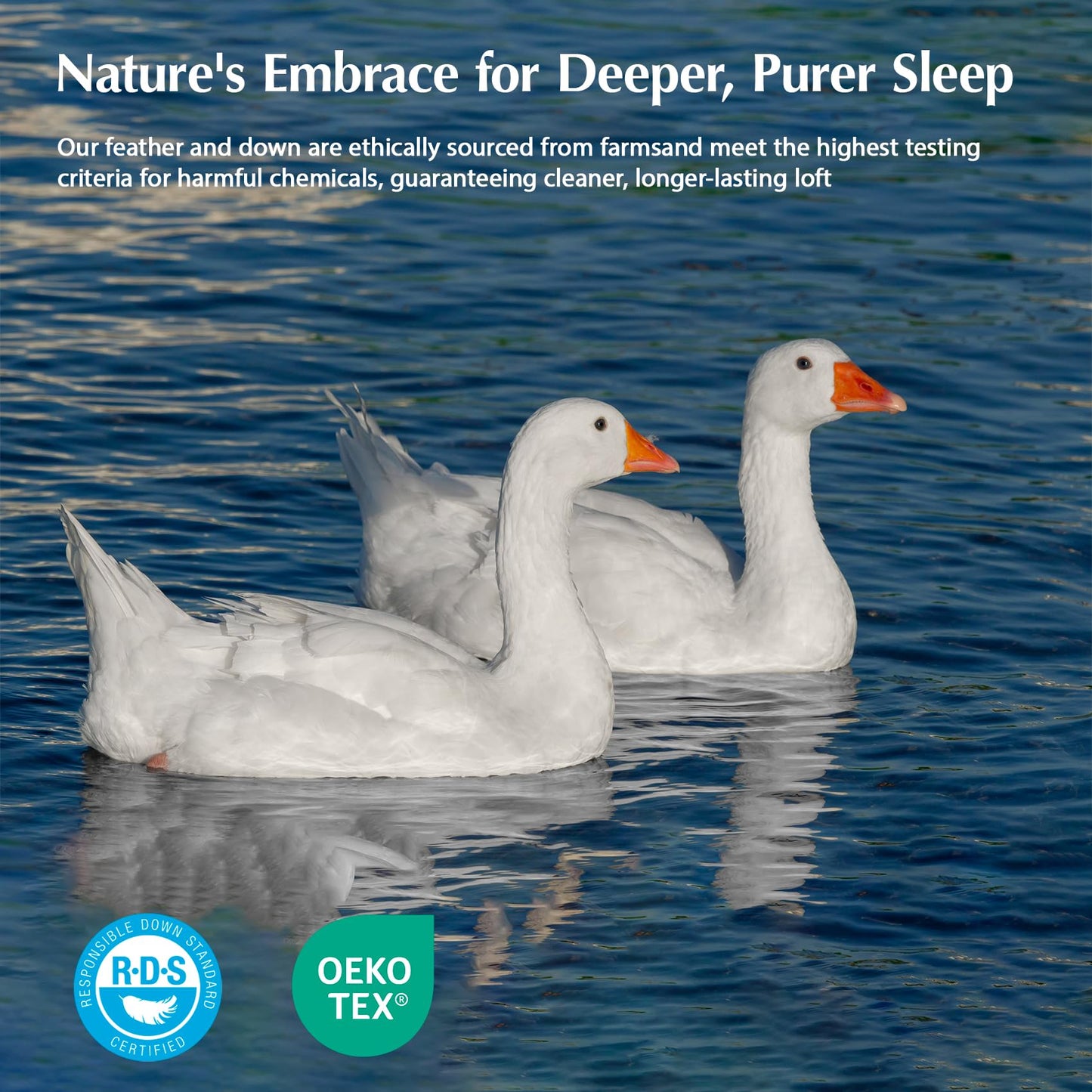 Pacific Coast Goose Feather Down Fiber Comforters King Size, Extra Fluffy White Duvet Insert, Ultra-Soft, Breathable, All Season Hotel Luxury Bedding Comforters, 8 Corner & Center Loops (106"x90")