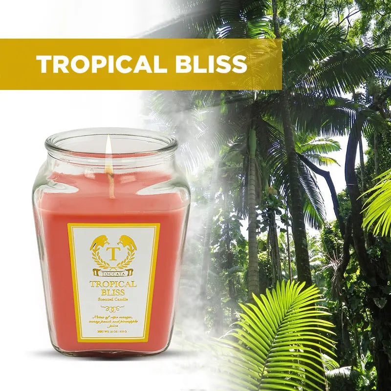 Scented Candles, long burn time, single wick