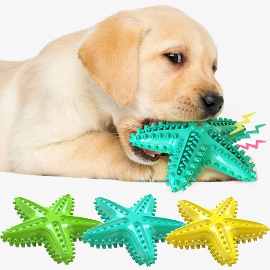 Starfish Squeaky Chew Toys,  Small-Large Dog, Indestructible Rubber, Teeth Cleaning