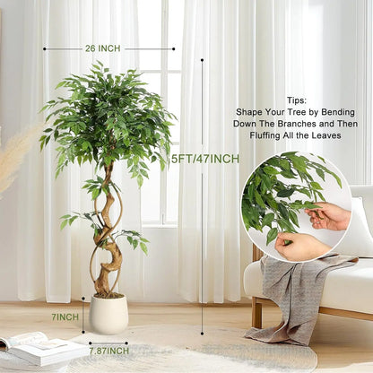 Ficus Tree Artificial, Indoor, White Pot