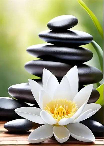 Spa Zen Cherry Blossom, Lily Pink Lotus Canvas, Print Posters, Art for Fitness/Yoga Studio